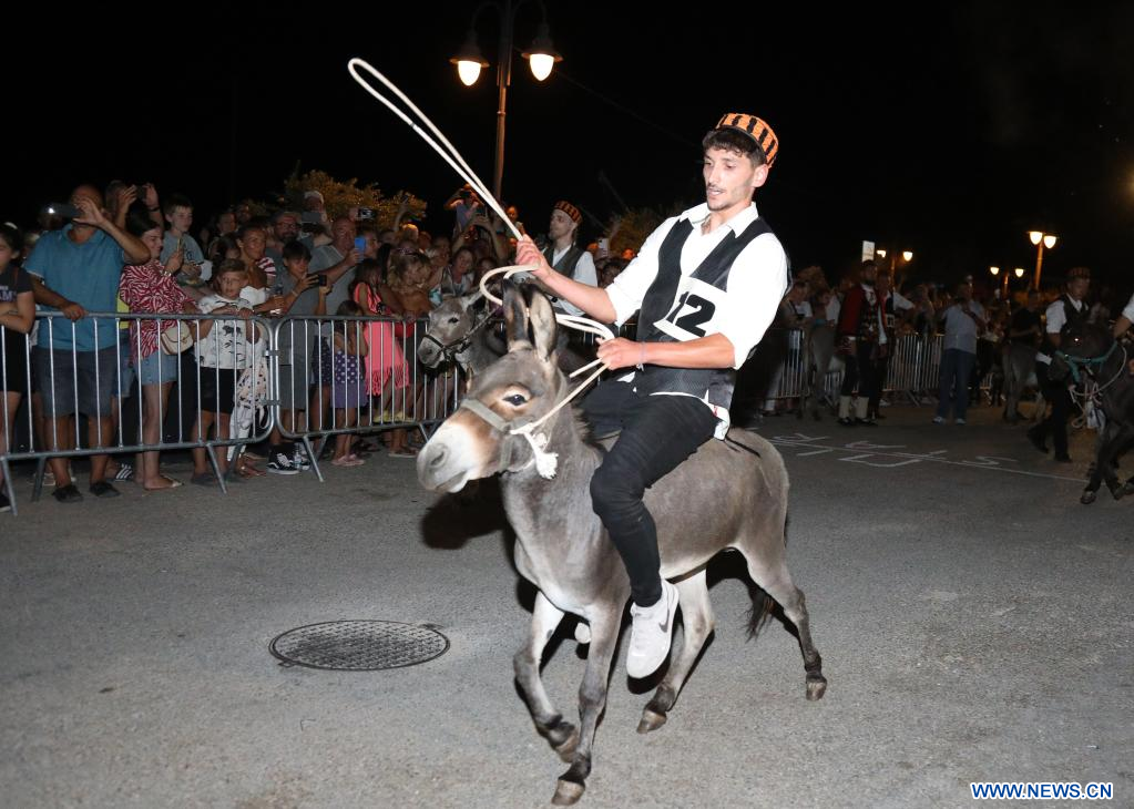 Carrera tradicional de burros de Tribunj, Croacia 