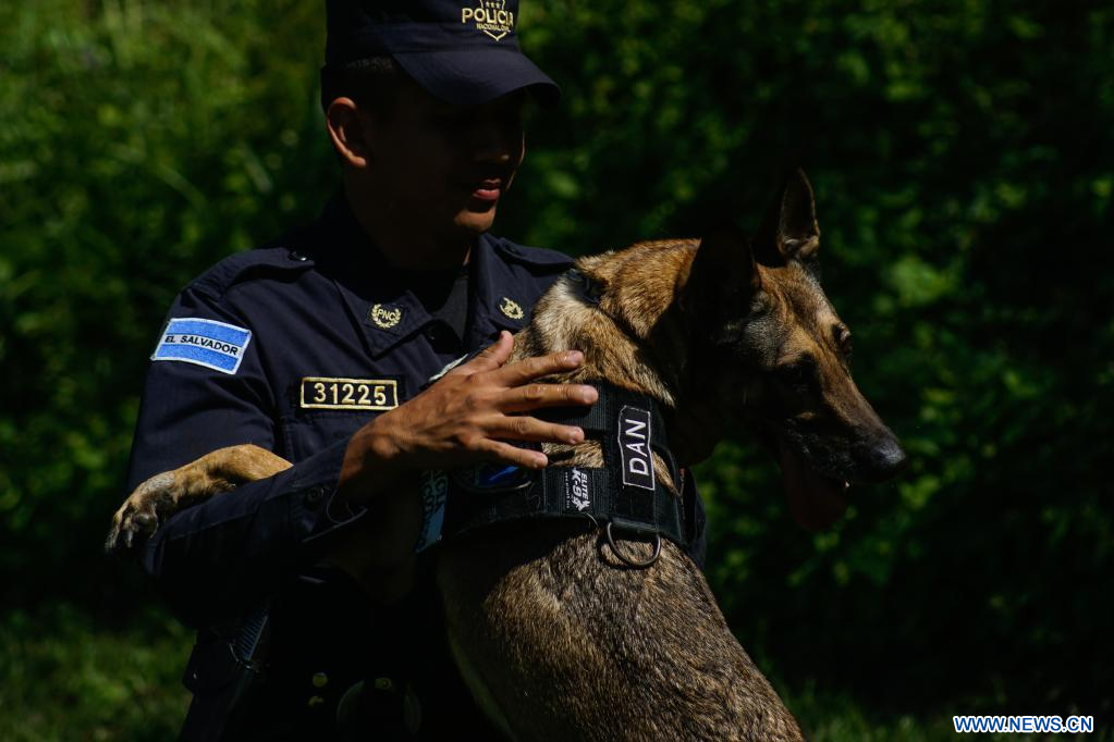 El Salvador: Entrenamiento de búsqueda de drogas de la Unidad Canina K9 de  la PNC | Spanish.xinhuanet.com