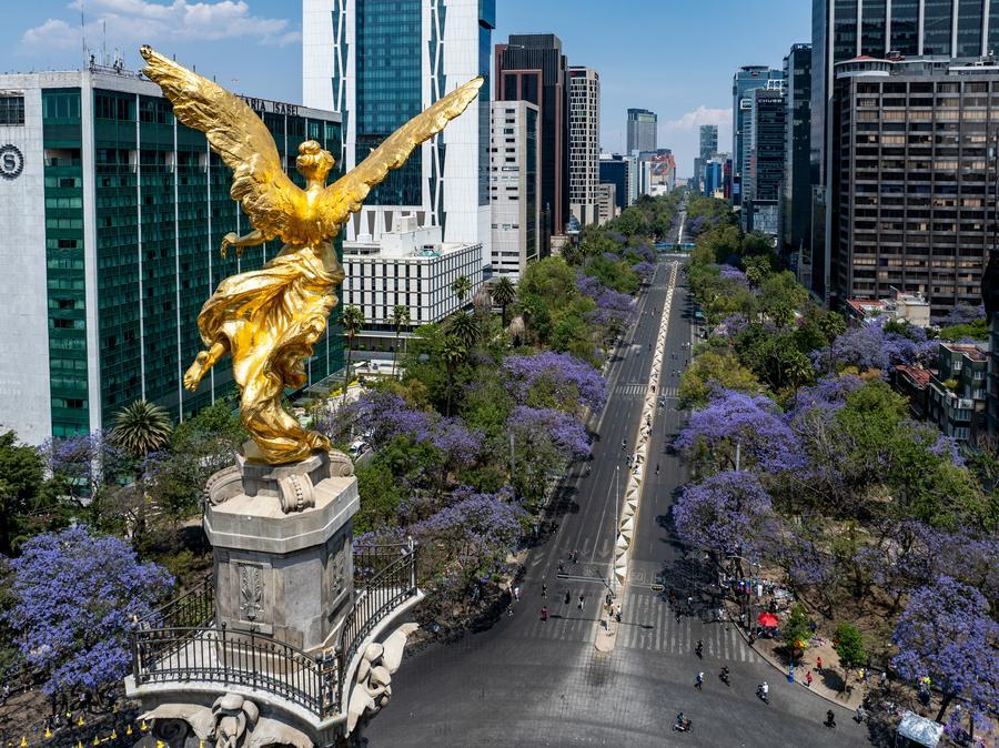 (Multimedia) Inversión en México podría recuperarse en segunda mitad de ...