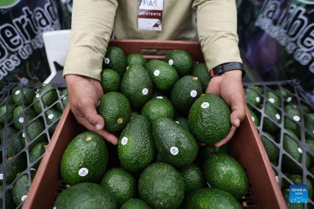 Central Estado de México quiere fortalecer vínculos con China para impulsar su sector agrícola 2 b585dc32a6924871a95301bf323107d2